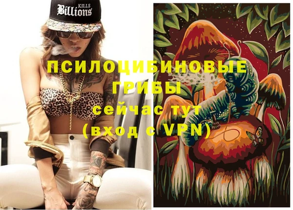 ALPHA PVP Новодвинск