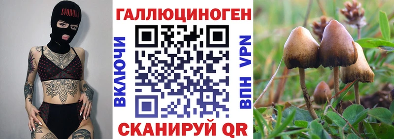 Псилоцибиновые грибы Cubensis  Бугуруслан 